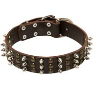 Cane Corso Leather Dog Collar with Three Rows of Studs and Spikes