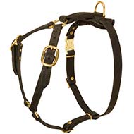 Y-shaped Light Weight Adjustable Leather Dog Harness for Cane Corso Breed