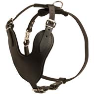 Walking Exclusive Leather Dog Harness for Cane Corso Breed