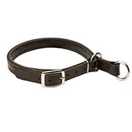 Leather Slip Cane Corso Collar w/h Nickel Hardware