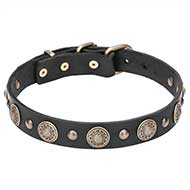 'Magic Necklace' Leather Cane Corso Collar with Brass Conchos and Studs