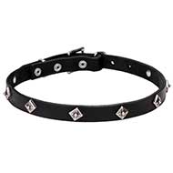 "Cosmic Stars" Leather Cane Corso Collar with Chrome Plated Square Studs