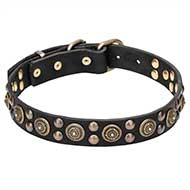 "Boho Style" Leather Cane Corso Collar with Massive Brass Decorations