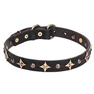 'Milky Way' Leather Cane Corso Collar with Old Bronze-plated Half-ball Studs and Stars