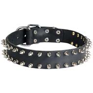 Leather Spiked Dog Collar for Cane Corso Leather Spiked Dog Collar for Cane Corso