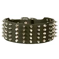 3 inch Spiked and Studded Leather Cane Corso Collar