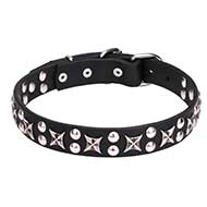 "Planets and Stars" Leather Cane Corso Collar with Chrome Plated Fittings