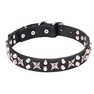 'Shining Stars' Fantastic Leather Cane Corso Collar with Chrome Plated Parts