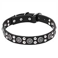 'Galactic Style' Leather Cane Corso Collar with Silver-like Circles and Half-Sphere Studs