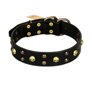 FDT Artisan 'Heavy Metal' Leather Cane Corso Collar with Skulls and Half-Balls 1 1/2 inch (40 mm)