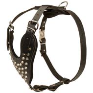 Leather Studded Dog Harness for Cane Corso with Silver Color Pyramids