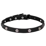 "Antique Flowers" Leather Cane Corso Collar with Chrome Plated Round Studs 4/5 inches (20 mm) wide "Antique Flowers" Leather Cane Corso Collar with Chrome Plated Round Studs 4/5 inches (20 mm) wide
