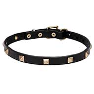 Leather Cane Corso Collar with Small Brass Pyramids