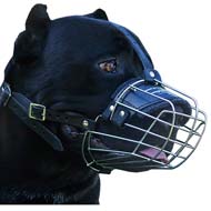 Cane Corso Metal Basket Dog Muzzle