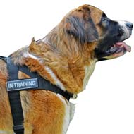 Weatherproof Nylon Patch Dog Harness For Moscow Watchdog's Service Work