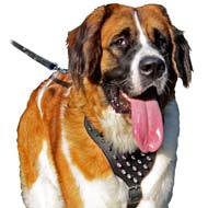 Exquisite Leather Dog Harness with Fierce Spikes for Moscow Watchdogs