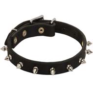 Stylish Leather Dog Collar with One Row Spikes for Cane Corso Breed