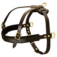 Tracking/Pulling/Agitation Leather Dog Harness for Cane Corso Breed