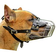 Stylish Wire Cage Dog Muzzle for Wight Pitbulls