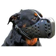 Agitation Training Leather Dog Muzzle for Powerful Rottweiler