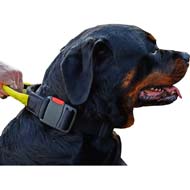 Weatherproof Nylon Dog Collar with Handle for Rottweiler dog breed