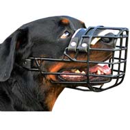 Rubber Covered Wire Dog Muzzle For Rottweilers-Winter Muzzle Presentation