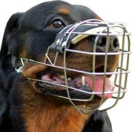 Fashion Metal Dog Muzzle-Designer Muzzle Presentation for Rottweilers