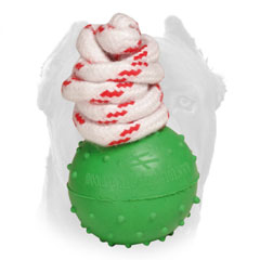 Dotted Rubber Ball for Cane Corso Training and Playing