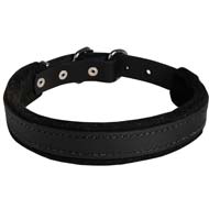 Beautiful Collar with Felt Padding for Attack / Protection Training