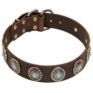Wide Leather Dog Collar with Silver Plated Circles and Blue Stones