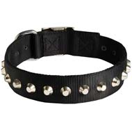 Fashion Wide Nylon Dog Collar With Nickel Pyramids for Cane Corso Breed