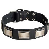 Wide Leather Dog Collar for Large Breed Dogs Like Cane Corso