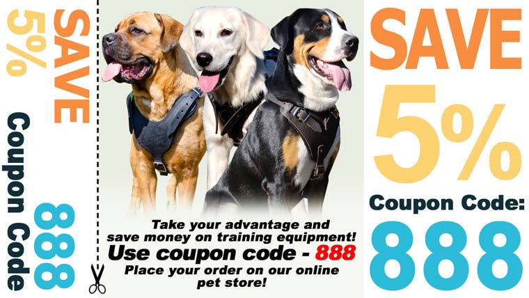 Banner 5% OFF Banner 5% OFF