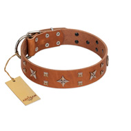 "Dreamy Gleam" FDT Artisan Tan Leather Cane Corso Collar Adorned with Stars and Squares