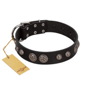 "Tricky Ricky" FDT Artisan Black Leather Cane Corso Collar Adorned with Silver-Like Conchos