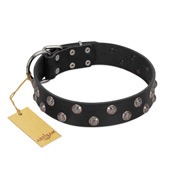 "Power-Flower" FDT Artisan Black Leather Cane Corso Collar with Two Rows of Silver-like Studs with Engraved Flowers