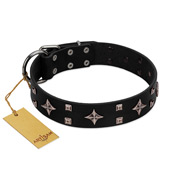 "Snappy Dresser" FDT Artisan Black Leather Cane Corso Collar Adorned with Stars and Tiny Squares