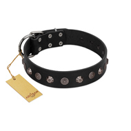 "Black Knight" Handmade FDT Artisan Black Leather Cane Corso Collar with Silver-Like Studs