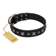 "Polar Lights" Designer FDT Artisan Black Leather Cane Corso Collar with Silver-Like Studs