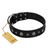 "Mr. Elegance" Designer FDT Artisan Black Leather Cane Corso Collar with Silver-Like Studs