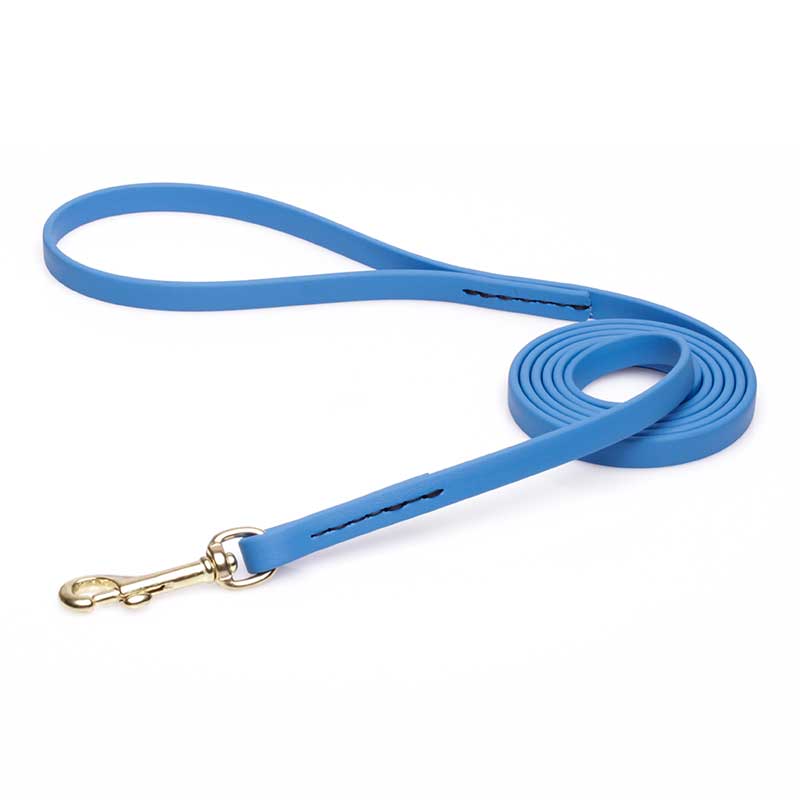 Amazing Blue Biothane Cane Corso Leash for Walking, Tracking