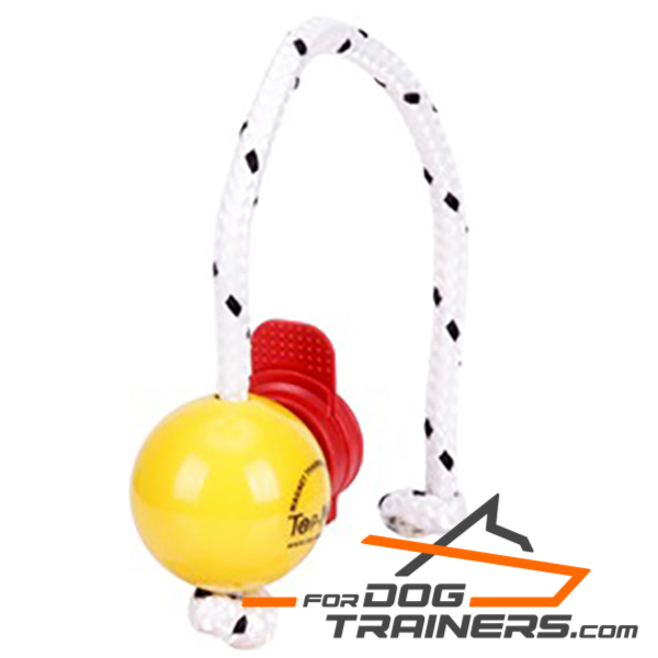 Dog Ball for Perfect Training