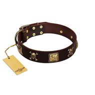 "Crazy Pirate" FDT Artisan Brown Leather Cane Corso Collar with Old Bronze-Plated Skulls and Plates