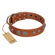 "Era Infinitum" FDT Artisan Tan Leather Cane Corso Collar Adorned with Chrome-plated Circles