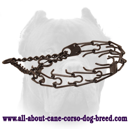 Black Prong Dog Collar of Stainless Steel
