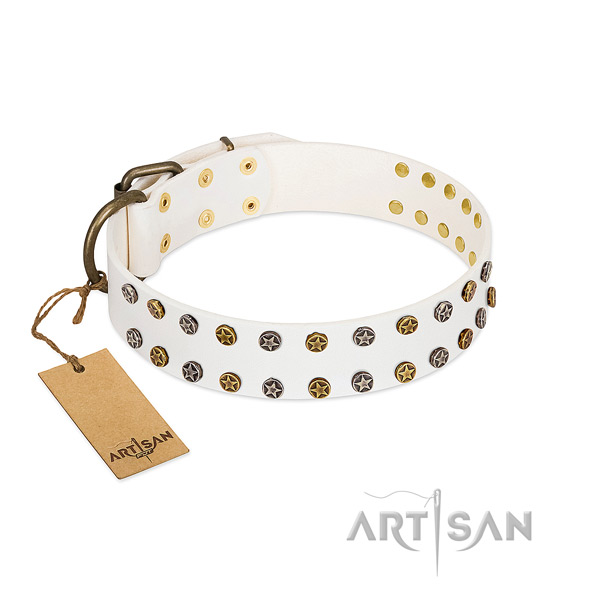 Impressive full grain genuine leather dog collar with rust-proof adornments