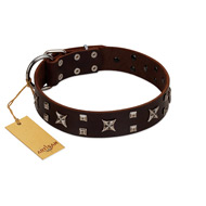 "Bigwig Woof" FDT Artisan Brown Leather Cane Corso Collar with Chrome Plated Stars and Square Studs