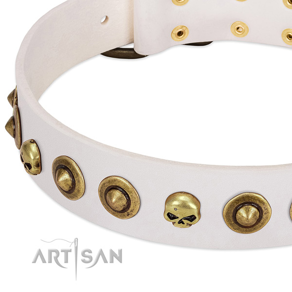 Exceptional embellishments on full grain genuine leather collar for your pet