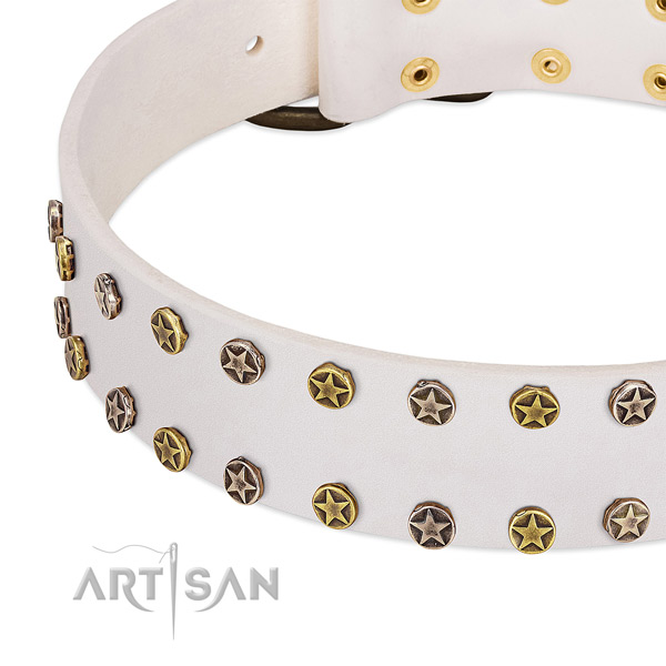 Amazing embellishments on full grain genuine leather collar for your doggie