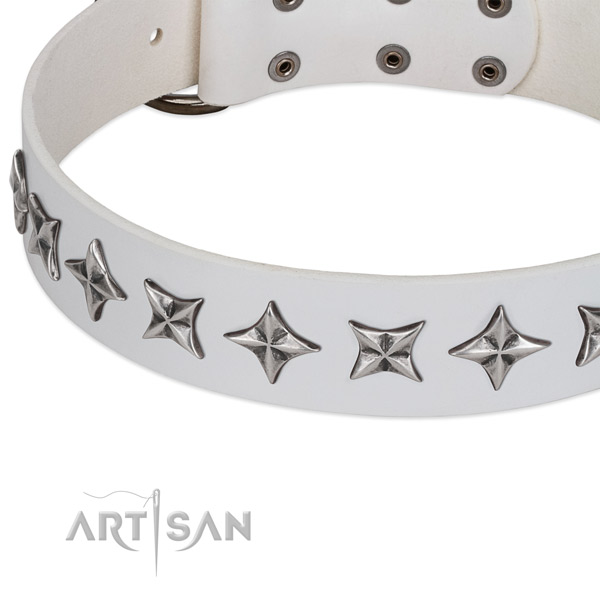 Fancy walking studded dog collar of durable full grain natural leather